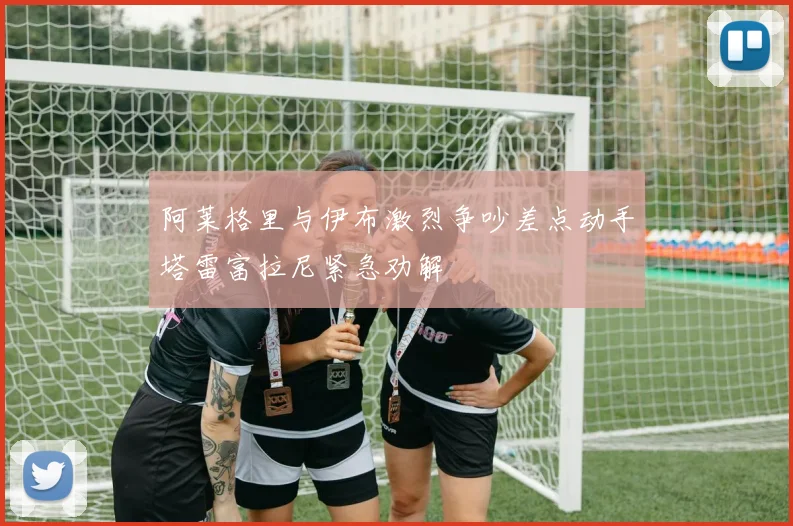 阿莱格里与伊布激烈争吵差点动手塔雷富拉尼紧急劝解